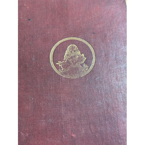 370 - Alice's Adventures In Wonderland by Lewis Carroll, First Edition Macmillan & Co London 1866, cloth-b... 