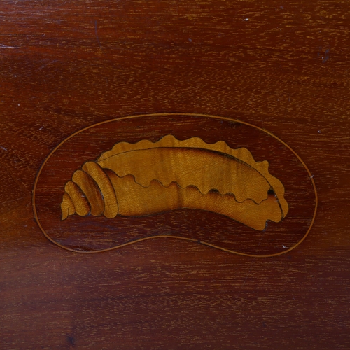 781 - Edwardian mahogany kidney-shaped tea tray, with gallery and shell decoration, 58cm