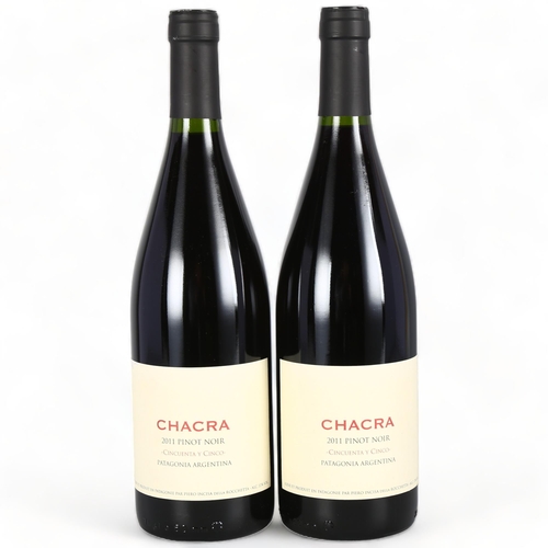 2073 - Cincuenta y Cinco Pinot Noir 2011, Bodega Chacra, Patagonia x 2 bottles.