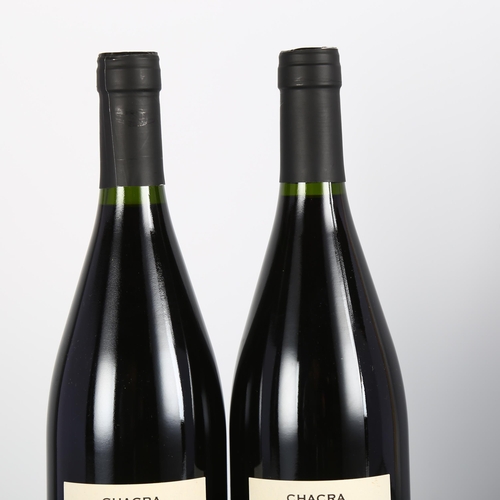 2073 - Cincuenta y Cinco Pinot Noir 2011, Bodega Chacra, Patagonia x 2 bottles.