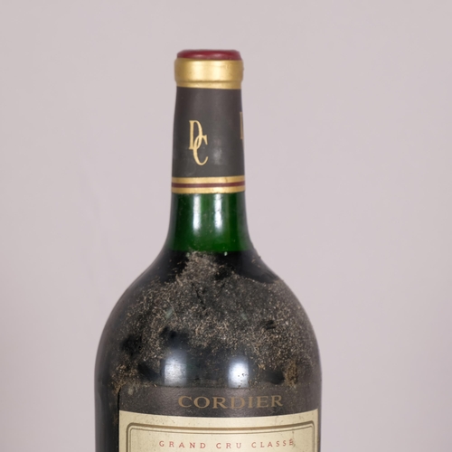 2281 - Chateau Gruaud-Larose 1989, Grand Cru Classe, Saint-Julian x 1 Magnum bottle