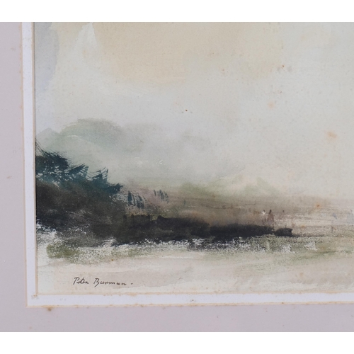 318 - Peter Burman (born 1950), coastal view, watercolour, signed, 35cm x 58cm, framed