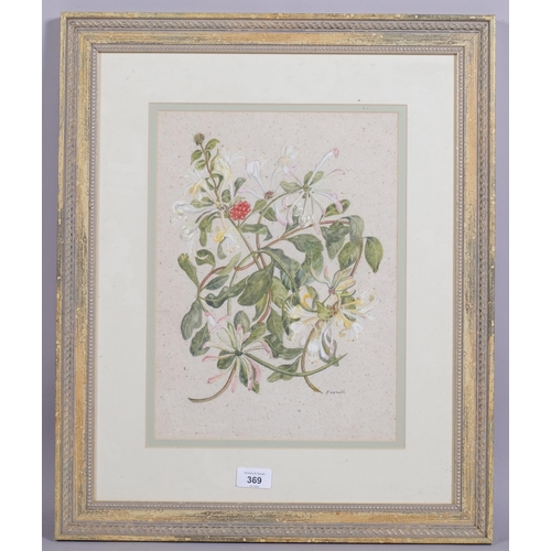 369 - Everill, botanical study, watercolour on handmade paper, signed, 36cm x 26cm, framed