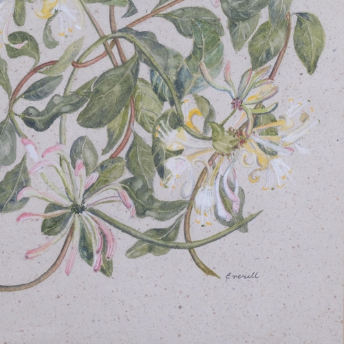 369 - Everill, botanical study, watercolour on handmade paper, signed, 36cm x 26cm, framed