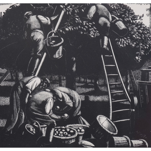 407 - Clare Leighton (1898-1989), wood engraving printed from the block on paper, September, Apple-Picking... 