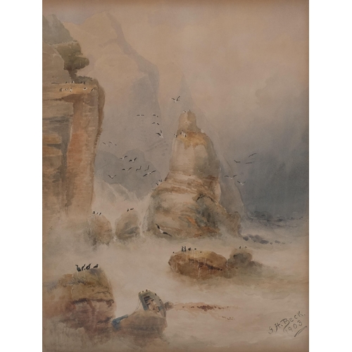 411 - G H Beck, birds on the cliffs, signed and dated 1903, 58cm x 45cm, framed