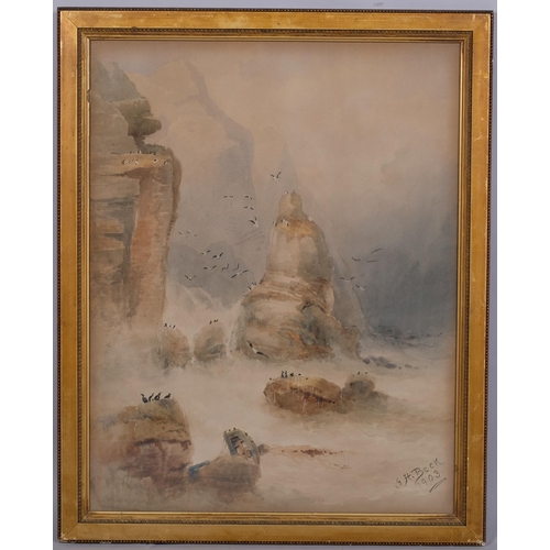 411 - G H Beck, birds on the cliffs, signed and dated 1903, 58cm x 45cm, framed