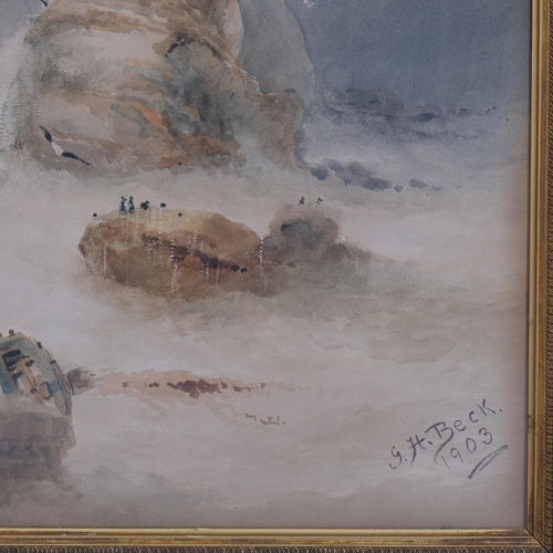 411 - G H Beck, birds on the cliffs, signed and dated 1903, 58cm x 45cm, framed