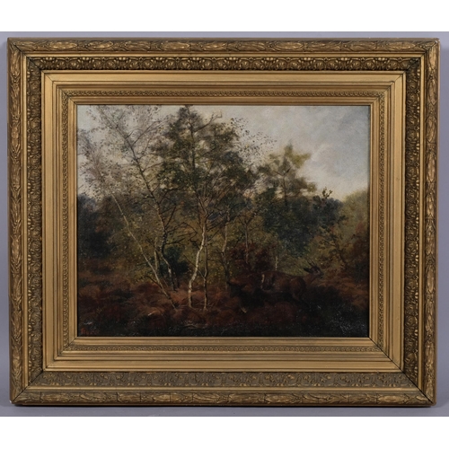 413 - Deer in woodland, 19th century Continental oil on canvas, indistinctly signed, 30cm x 40cm, framed