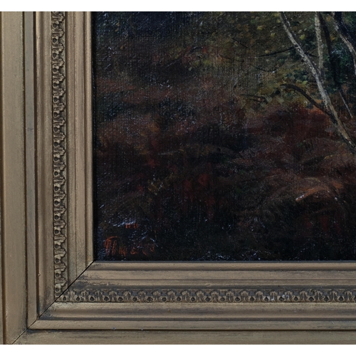 413 - Deer in woodland, 19th century Continental oil on canvas, indistinctly signed, 30cm x 40cm, framed