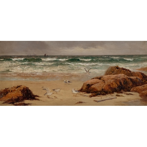 423 - William Henry Borrow, gulls on the beach, oil on canvas, signed and dated 1887, 23cm x 57cm, framed