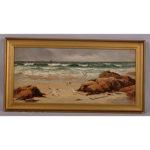 423 - William Henry Borrow, gulls on the beach, oil on canvas, signed and dated 1887, 23cm x 57cm, framed