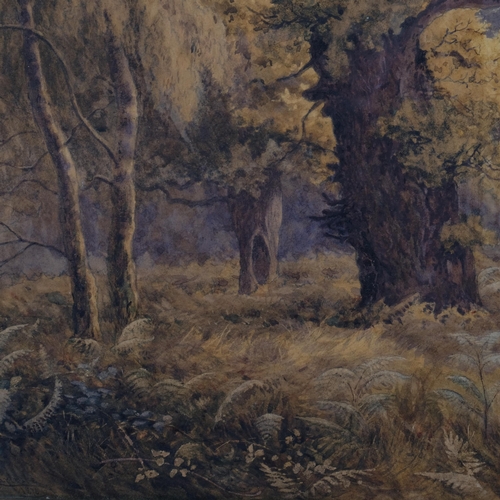 446 - J Carlisle, Old Sherwood Forest, watercolour, signed and dated 1876, artist's label verso, 51cm x 80... 