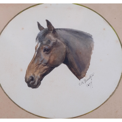 470 - Celia Beresford, portrait of a horse, watercolour, signed and dated 1877, 22cm x 25cm, framed