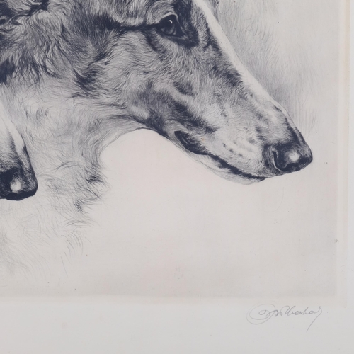 484 - Kurt Meyer Eberhardt, 2 Borzoi dogs, etchings, signed in pencil, image 34cm x 48cm, framed