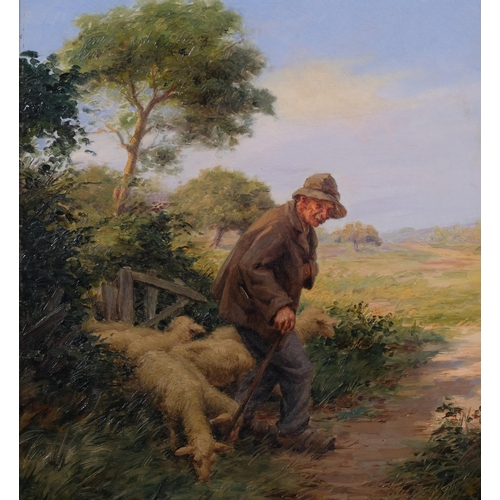 502 - Ernest Chateignon (1863 - 1910), shepherd and sheep, oil on canvas, signed, 46cm x 32cm, framed