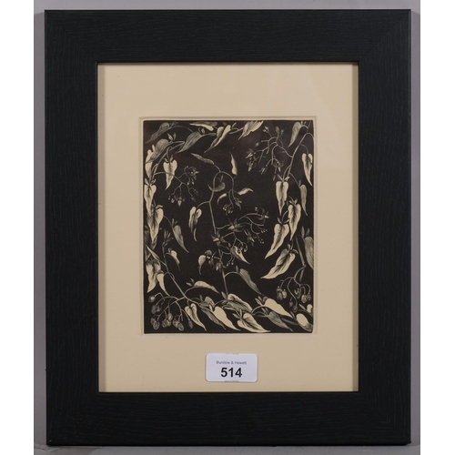 514 - John Nash (1893-1977), wood engraving on paper, Bitter-Sweet Nightshade, 16cm x 12.8cm, mounted, gla... 