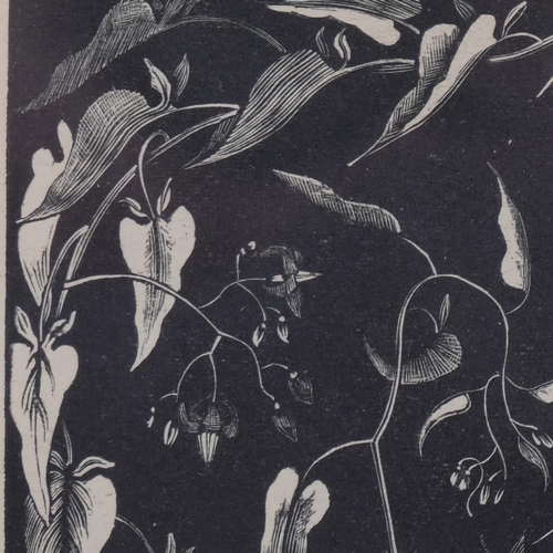 514 - John Nash (1893-1977), wood engraving on paper, Bitter-Sweet Nightshade, 16cm x 12.8cm, mounted, gla... 