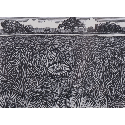 520 - Michael Renton (1934-2001), signed wood engraving on paper, Walden VIII , 5.5cm x 7.8cm., signed and... 