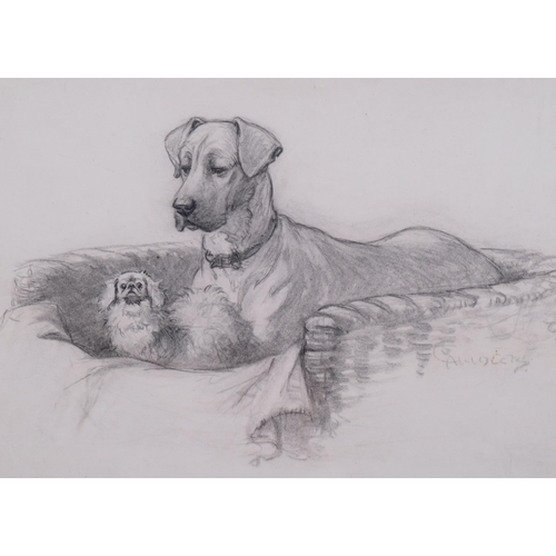 522 - Christopher Gifford Ambler (1886-1965) pencil and wash drawing on paper, Between the Great Paws, sig... 