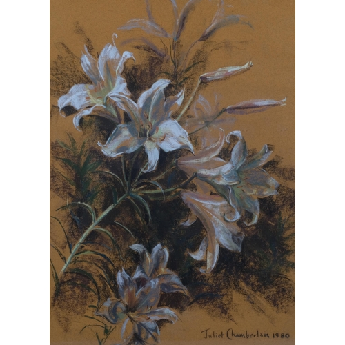 532 - Juliet Chamberlain (XX), coloured pastels on paper, Wayward Lilies, signed and dated 1980, 62cm x 44... 