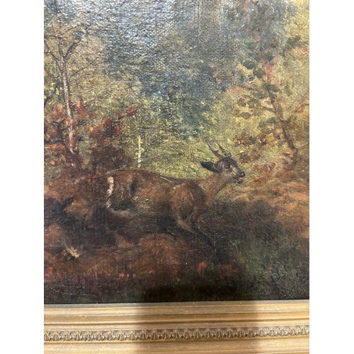 413 - Deer in woodland, 19th century Continental oil on canvas, indistinctly signed, 30cm x 40cm, framed