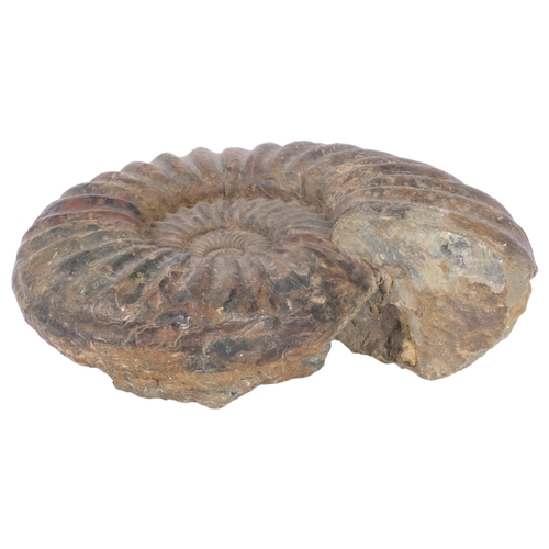 159 - A Jurassic ammonite 