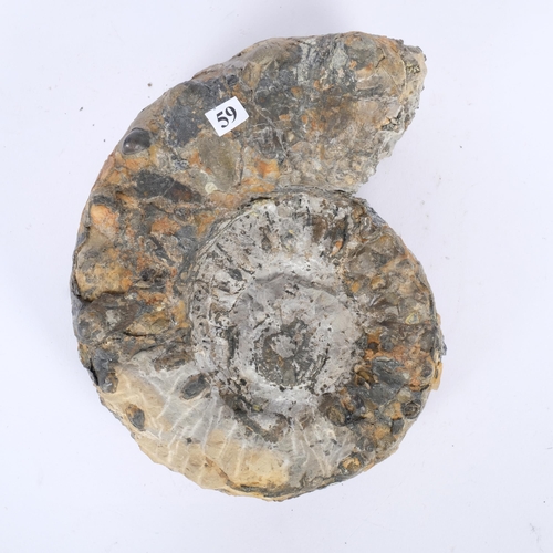 162 - Peltoceras athelata (Philips) Jurassic ammonite, Middle Oxford Clay near Milton Keynes, W18cm