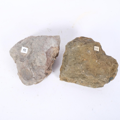 297 - 2 Jurassic Period ammonites (eparietites) and (andorgynoceras), found Conesby Quarry and Northcott B... 