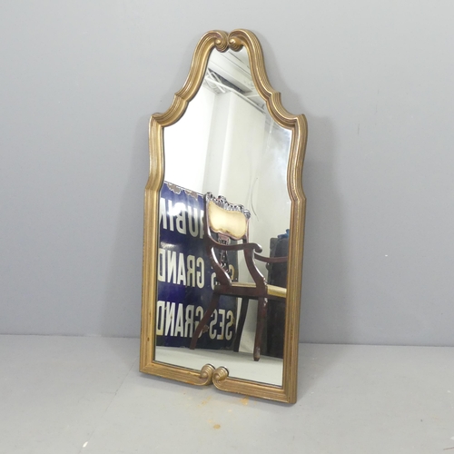 2659 - A modern resin framed French style wall mirror. 52x109cm.