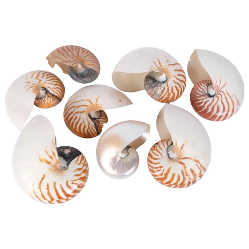 659 - A collection of 8 nautilus seashells, including one disected example