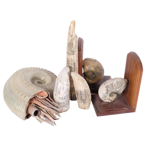 667 - A group of 3 resin scrimshaw, each depicting a different nautical scene, a pair of ceramic ammonite ... 