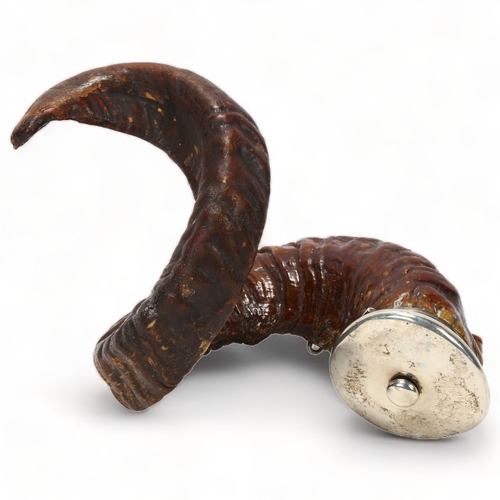 149 - 19th century Scottish ram's horn table snuff mull, with carved mask decoration and hinged unmarked w... 