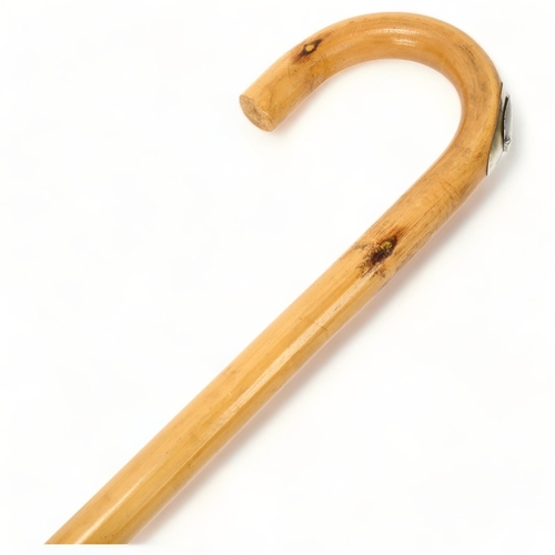 194 - A horse measuring walking stick, with integral spirit level