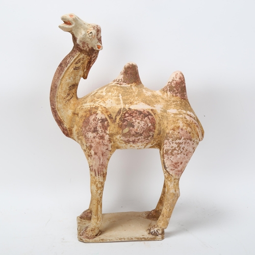 238 - Chinese Tang Dynasty pottery Bactrian camel (618 - 906 AD), the body painted with original pigment g... 