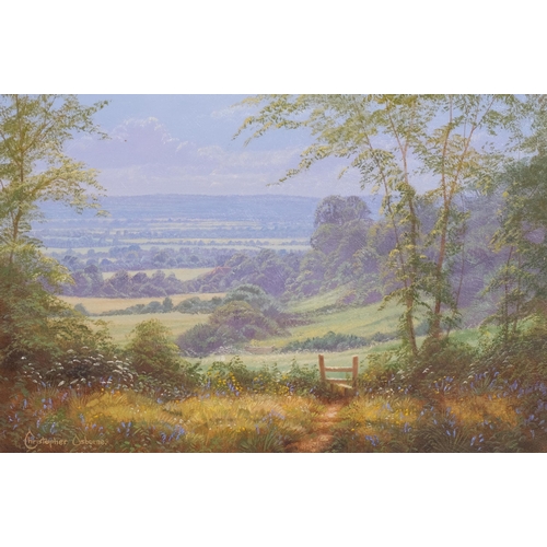 535 - Christopher Osborne (born 1947), pair of rural landscapes, oils on board, signed, 15cm x 24cm, frame... 