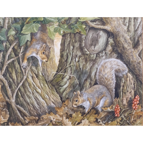 563 - Valerie Briggs, squirrels in autumn, watercolour, signed and dated 1988, 34cm x 44cm, framed