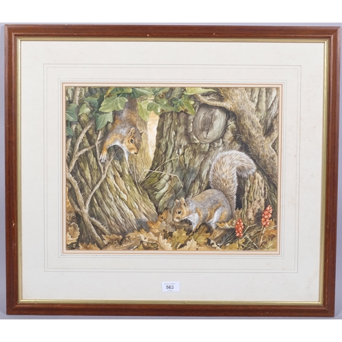 563 - Valerie Briggs, squirrels in autumn, watercolour, signed and dated 1988, 34cm x 44cm, framed