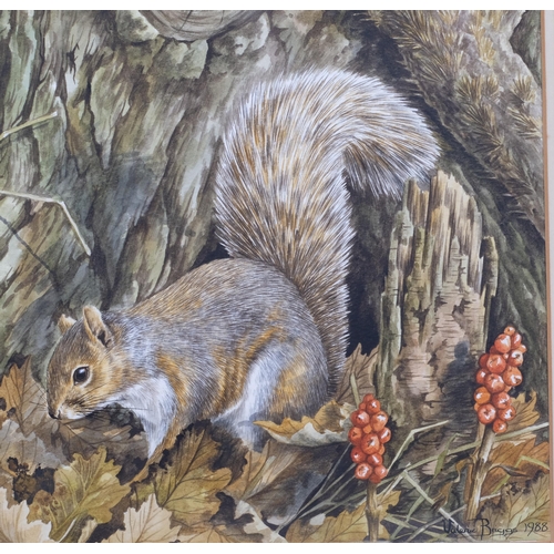 563 - Valerie Briggs, squirrels in autumn, watercolour, signed and dated 1988, 34cm x 44cm, framed