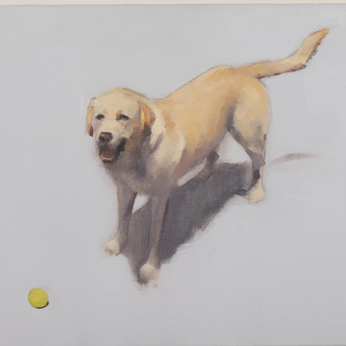 567 - Contemporary portrait of a Labrador, oil on board, unsigned, 30cm x 40cm, framed