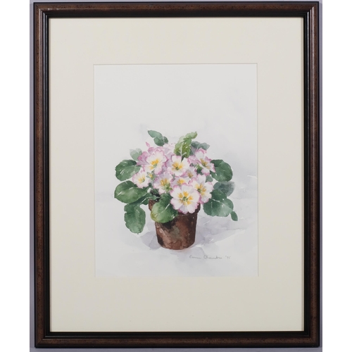 568 - Annie Chambers, 2 still life studies of pot plants, watercolours, signed, largest 28cm x 40cm, frame... 