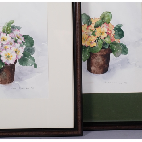 568 - Annie Chambers, 2 still life studies of pot plants, watercolours, signed, largest 28cm x 40cm, frame... 