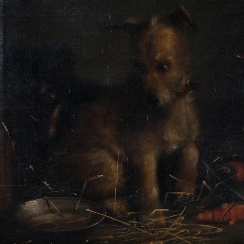 582 - Terriers in the kitchen, 19th century oil on canvas, indistinctly signed, 38cm x 47cm, unframed