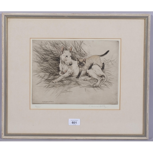 601 - George Vernon Stokes, Bull Terrier and Siamese cat, coloured etching, signed in pencil, plate 20cm x... 