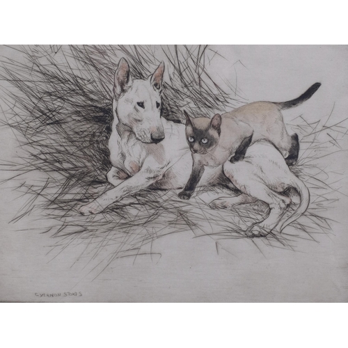 601 - George Vernon Stokes, Bull Terrier and Siamese cat, coloured etching, signed in pencil, plate 20cm x... 