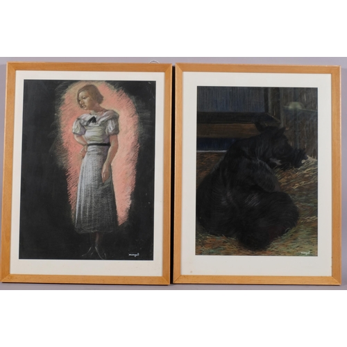 612 - John Bryce Mungall, 6 pastel drawings, portraits and cattle, 52cm x 38cm, together with a folder of ... 