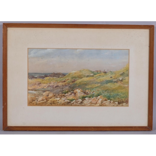 613 - Helen O'Hara, sheep in coastal landscape, signed with monogram, dated 1882, 22cm x 41cm, framed