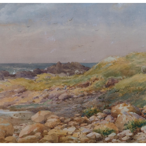 613 - Helen O'Hara, sheep in coastal landscape, signed with monogram, dated 1882, 22cm x 41cm, framed