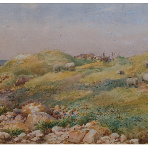 613 - Helen O'Hara, sheep in coastal landscape, signed with monogram, dated 1882, 22cm x 41cm, framed