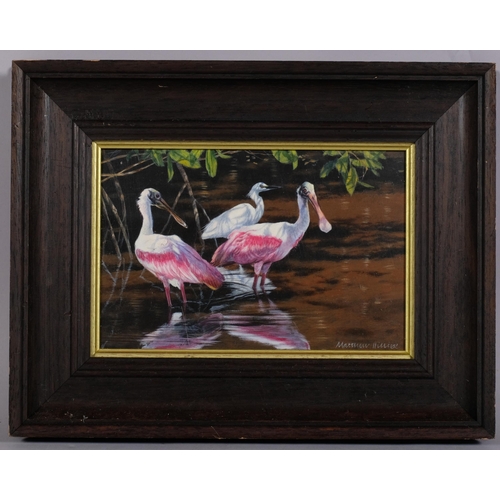 626 - Matthew Hillier (born 1958), spoonbills and snowy egret, acrylic on board, signed with SWLA exhibiti... 